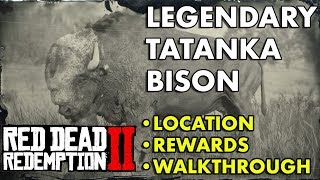 Red Dead Redemption 2  Legendary Tatanka Bison Location Rewards Walkthrough [upl. by Bosson]