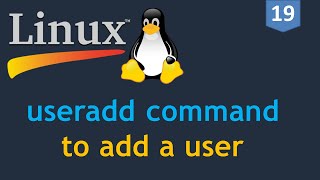 19  Linux for DevOps  Creating a User  useradd command  How to add a user on Linux [upl. by Yordan]