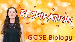 Respiration  GCSE Biology [upl. by Priebe682]