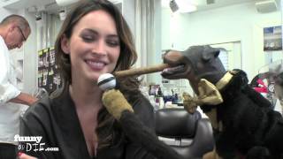 Triumph The Insult Comic Dog Visits the Set of This is 40 [upl. by Amalea804]