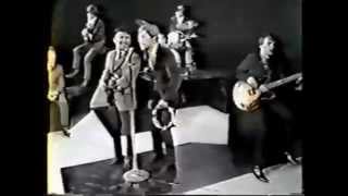 The Association  Windy Live 1967 [upl. by Anwad313]