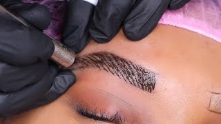 Microblading  The BEST Technique [upl. by Nolrev]