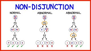 Chromosomes Types and Variations [upl. by Ayo504]