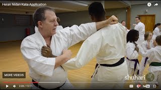 Heian Nidan Oyo  Bunkai Kata Application [upl. by Duomham441]