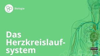 Das Herzkreislaufsystem So funktionierts – Biologie  Duden Learnattack [upl. by Refinnaej]