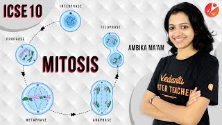 MITOSIS  Cell Cycle Cell Division and Structure of Chromosomes  ICSE Biology  Vedantu Class 10 [upl. by Introk]