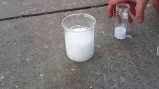 Citric acid  baking soda  water reaction [upl. by Hauser873]