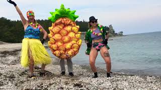 Agadoo doo doo Push pineapple shake the tree by Black Lace [upl. by Crissie882]