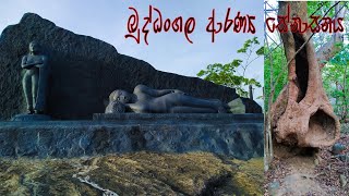 බූද්ධංගල ආරණ්‍ය සේනාසනයBudhdhangala aranya senasanaya [upl. by Tien]