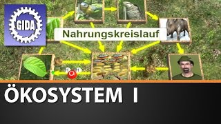 Trailer  Ökosystem I  Biologie  Schulfilm [upl. by Mattson]