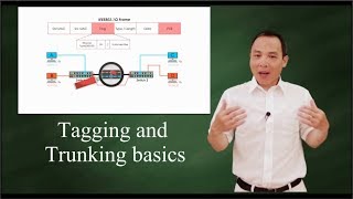 IEEE 802 1Q Tagging and Trunking 101 [upl. by Ahsinrev]