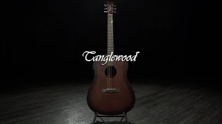 Tanglewood TWCR DE Crossroads Electro Acoustic Whiskey Burst  Gear4music demo [upl. by Soane]