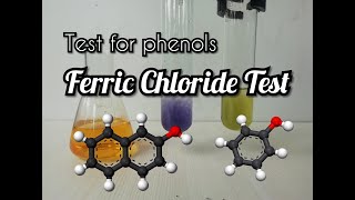 Ferric Chloride test for Phenols [upl. by Euqinemod]