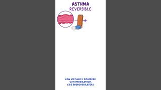 Clinical Cuts Asthma [upl. by Umont726]