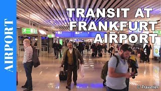 TRANSIT WALK AT FRANKFURT Airport FRA Terminal 1  Connection Flight Transfer Arriving amp Departing [upl. by Adnolay827]