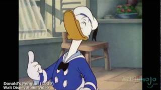 The History of Donald Duck [upl. by Woo179]