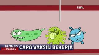 Beginilah Cara Kerja Vaksin [upl. by Diannne]