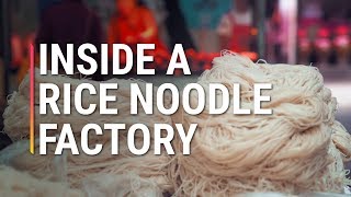 Inside A Rice Noodle Factory [upl. by Lillie]