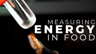 SRL BIO Measuring the Energy in Food GCSE Biology [upl. by Ajnin]