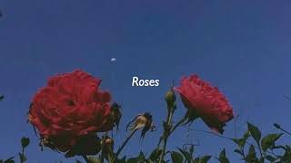 Roses  1 hour juice wrld [upl. by Zoes]