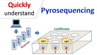 Pyrosequencing [upl. by Sotsirhc]