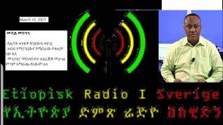 Interview with journalist Mesay Mekonnen [upl. by Yedok]