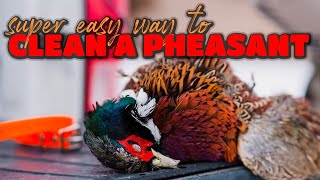 Easiest Way to Clean a Pheasant [upl. by Origra975]