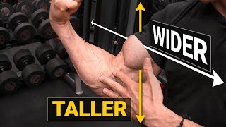 How to Get Bigger Biceps TALLER amp WIDER [upl. by Rosina198]