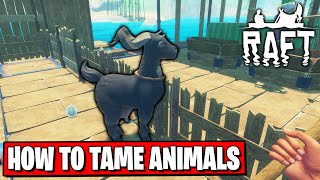 HOW TO TAME ANIMAL IN RAFT  RAFT TUTORIAL 16 [upl. by Widera]