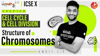 Cell Cycle and Cell Division  Structure of Chromosomes  ICSE Class 10 Biology Umang  Vedantu [upl. by Purity]