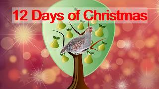 12 DAYS OF CHRISTMAS instrumental with lyrics [upl. by Luigi]