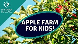 Apple Farm for Kids [upl. by Gipson571]