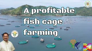 Mariculture a profitable industry  fish cage farming Philippines  Sec Manny Piñol  BFAR [upl. by Aihtak400]