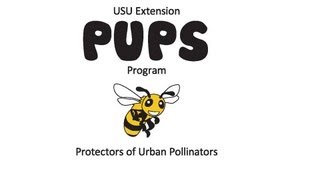 PUPS Types of Pollinators [upl. by Deehan236]