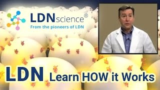 LDNscience® Presents  How LDN Low Dose Naltrexone Works [upl. by Jennica]