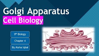 Golgi Apparatus Class 9 [upl. by Gnilyarg]