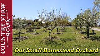 Homestead Orchard Spring Walk Through [upl. by Tobit]