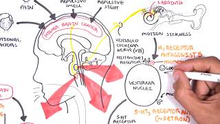 Pharmacology  Antiemetics [upl. by Hurwit]