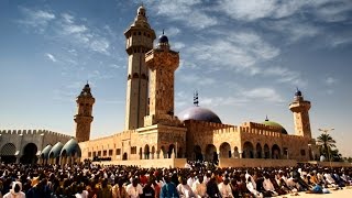 Touba Trailer [upl. by Laks]