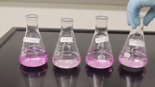 Titration Video [upl. by Garbe]