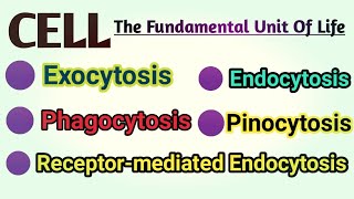 Exocytosis  Endocytosis  Phagocytosis  Pinocytosis  Receptor Mediated Endocytosis REM [upl. by Suciram]