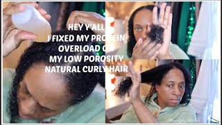 I Developed Protein Overload On Natural Hair  It Was Horrible  3 Steps On How To Fix It 2021 [upl. by Florin358]