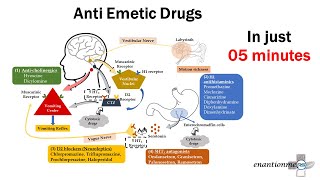 Pharmacology of Emesis Anti emetic Drugs Part  2 [upl. by Ambrose]